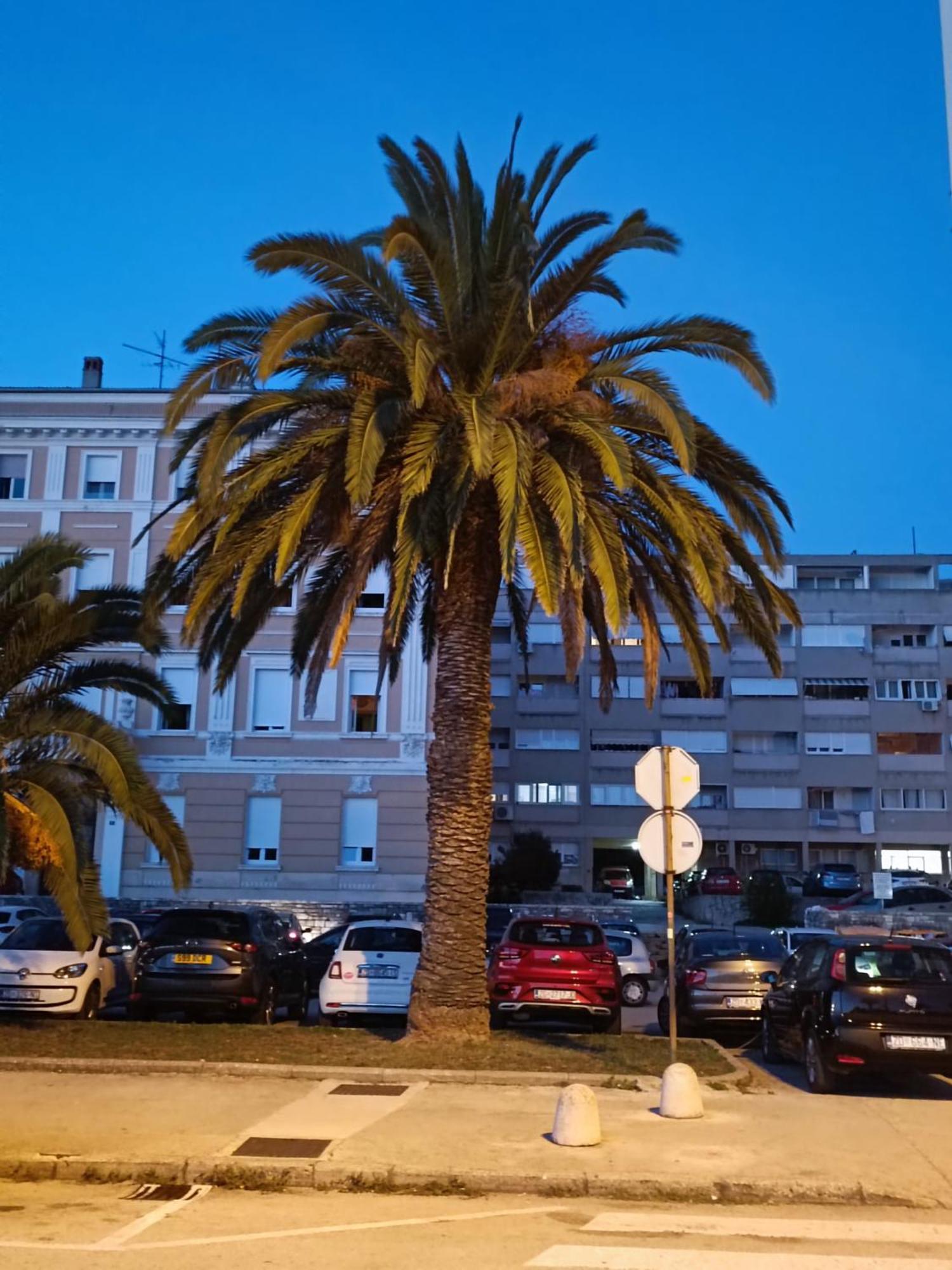 Zadar Beach Apartments Eksteriør billede